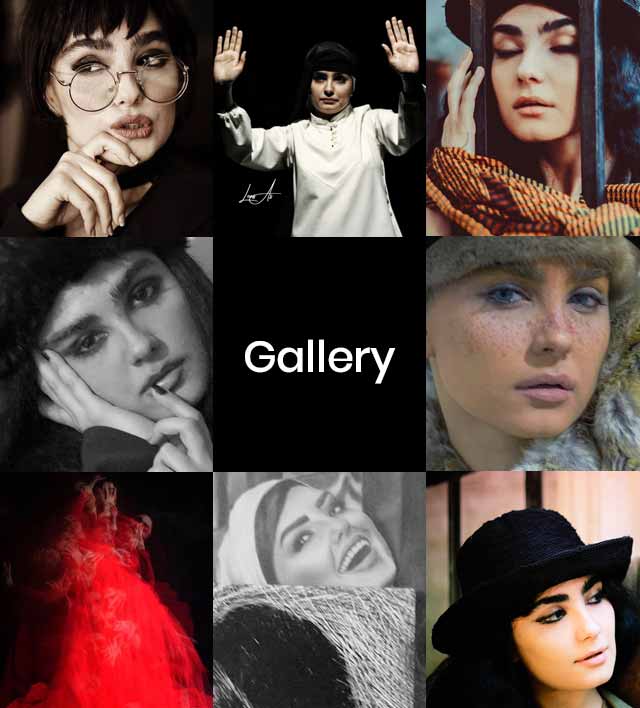 gallery-2